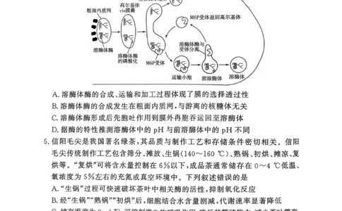 湘豫名校联考2025年11月高三一轮复习诊断考试生物_2025年11月_251125湘豫名校联考2025年11月高三一轮复习诊断考试（全科）