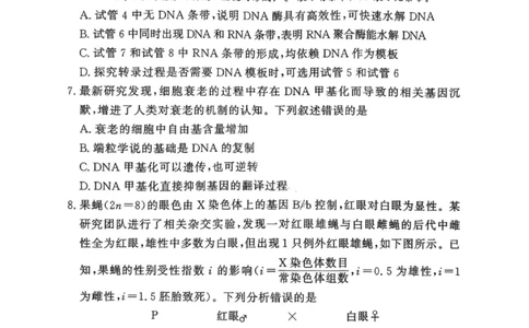 湘豫名校联考2025年11月高三一轮复习诊断考试生物_2025年11月_251125湘豫名校联考2025年11月高三一轮复习诊断考试（全科）
