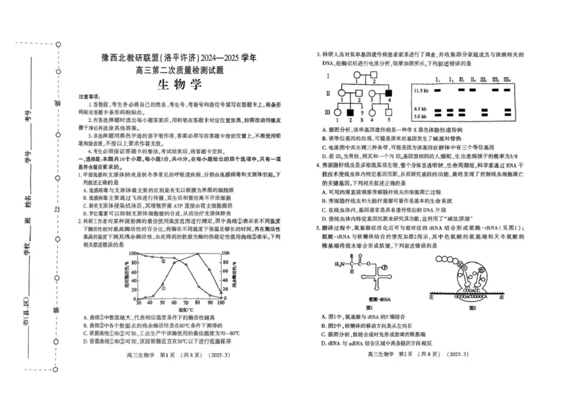 河南省豫西北教研联盟（洛平许济）2024-2025学年高三下学期第二次质量检测生物试卷+答案_2025年3月