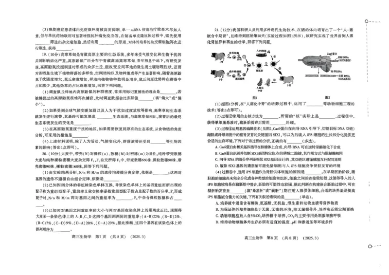 河南省豫西北教研联盟（洛平许济）2024-2025学年高三下学期第二次质量检测生物试卷+答案_2025年3月