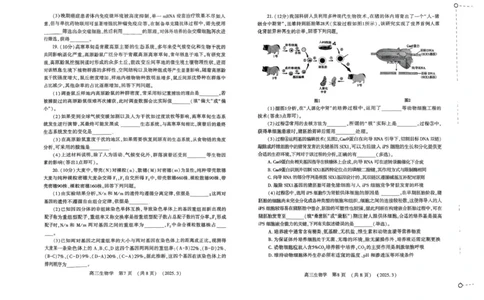 河南省豫西北教研联盟（洛平许济）2024-2025学年高三下学期第二次质量检测生物试卷+答案_2025年3月