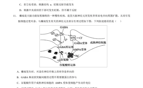 高二生物上学期第一次月考卷（四川专用）（考试版）_1多考区联考试卷_2510142025-2026学年高二生物上学期第一次月考试题