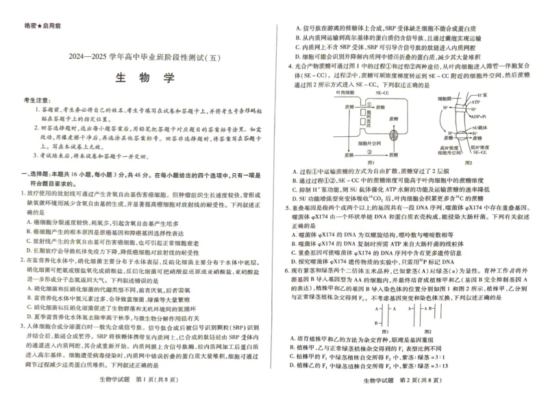 生物_2025年2月_250219河南天一大联考2024-2025学年高三下学期阶段性测试（五）_河南省天一大联考2024-2025学年高三下学期阶段测试（五）生物学试题（PDF版，含解析）