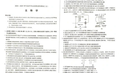 生物_2025年2月_250219河南天一大联考2024-2025学年高三下学期阶段性测试（五）_河南省天一大联考2024-2025学年高三下学期阶段测试（五）生物学试题（PDF版，含解析）