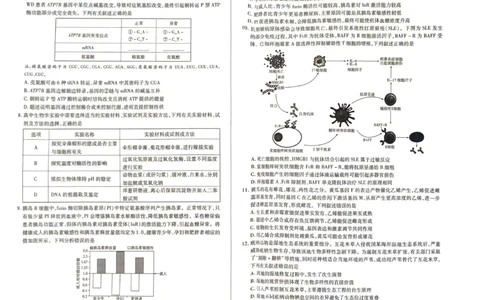 生物_2025年2月_250219河南天一大联考2024-2025学年高三下学期阶段性测试（五）_河南省天一大联考2024-2025学年高三下学期阶段测试（五）生物学试题（PDF版，含解析）