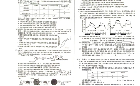 生物_2025年2月_250219河南天一大联考2024-2025学年高三下学期阶段性测试（五）_河南省天一大联考2024-2025学年高三下学期阶段测试（五）生物学试题（PDF版，含解析）