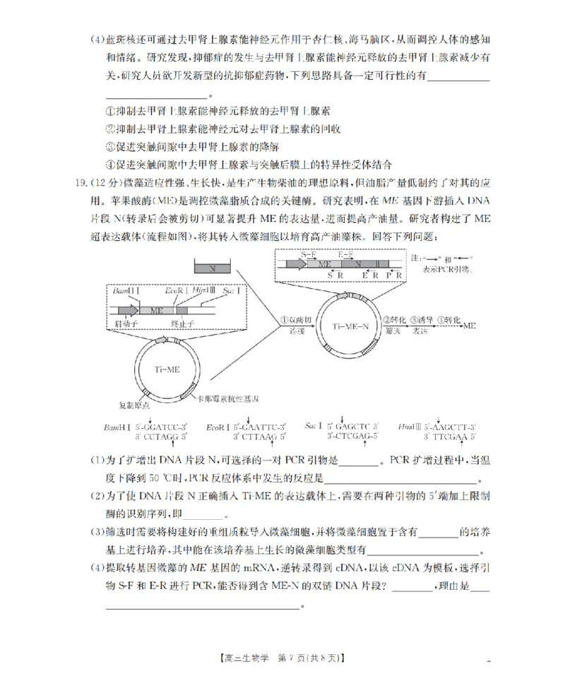 四川省金太阳2026届高三9月开学联考（26-10C）生物_2025年9月_250910金太阳&middot;四川省2026届高三9月开学联考（26-10C）（全科）