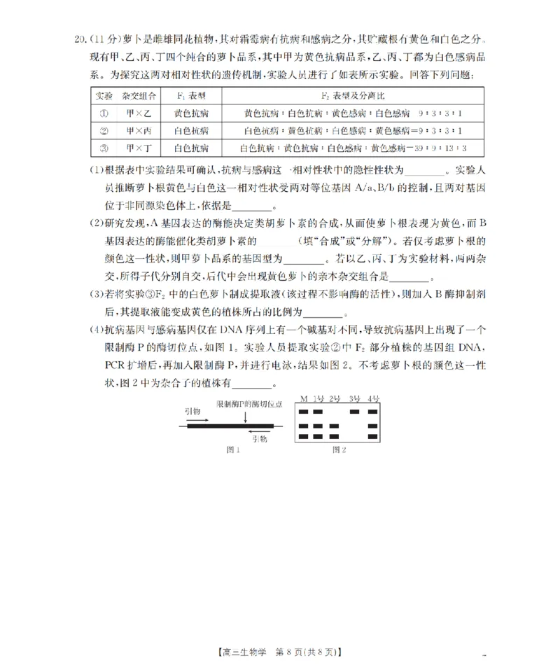 四川省金太阳2026届高三9月开学联考（26-10C）生物_2025年9月_250910金太阳&middot;四川省2026届高三9月开学联考（26-10C）（全科）