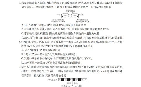 四川省金太阳2026届高三9月开学联考（26-10C）生物_2025年9月_250910金太阳&middot;四川省2026届高三9月开学联考（26-10C）（全科）