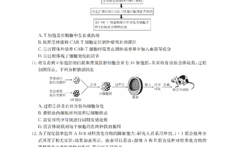 四川省金太阳2026届高三9月开学联考（26-10C）生物_2025年9月_250910金太阳&middot;四川省2026届高三9月开学联考（26-10C）（全科）