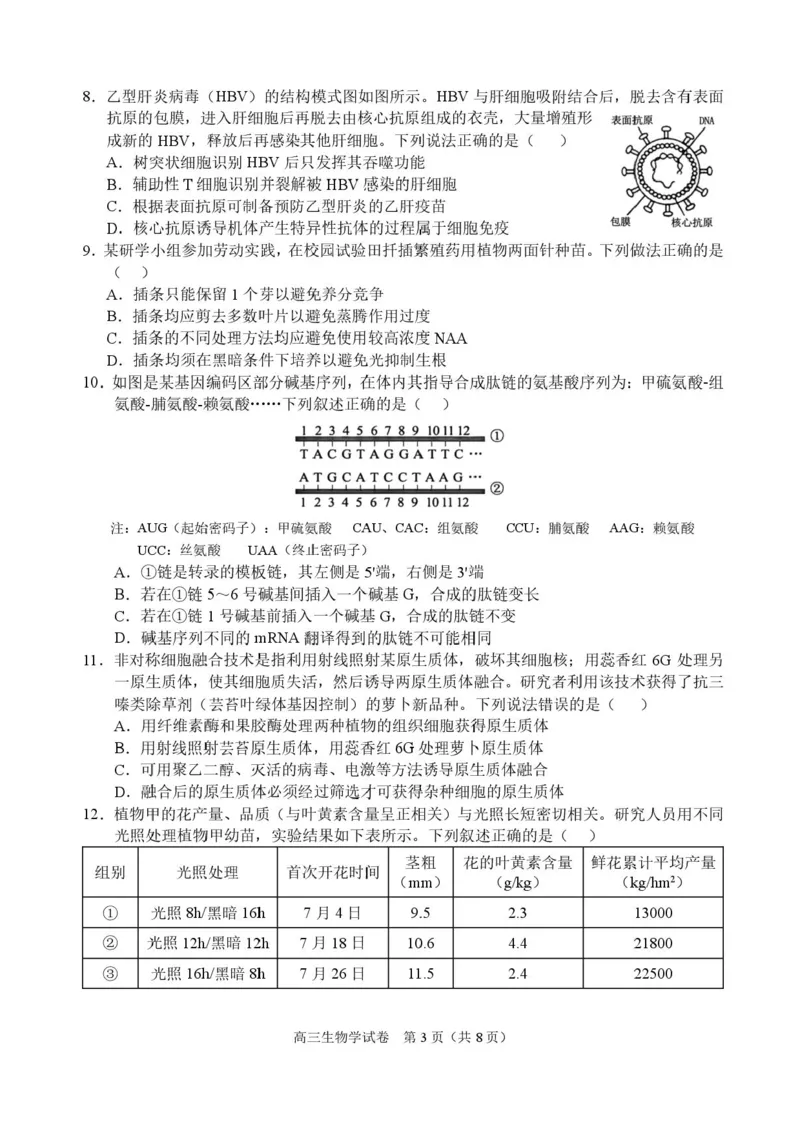 广西示范性高中2026届高三上学期9月联合调研测试生物试卷（含解析）_2025年9月_250928考阅评广西示范性高中2025-2026学年高三上学期9月联合调研测试（全科）