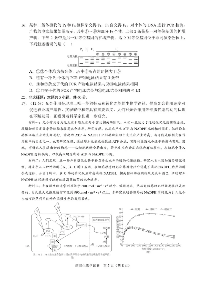 广西示范性高中2026届高三上学期9月联合调研测试生物试卷（含解析）_2025年9月_250928考阅评广西示范性高中2025-2026学年高三上学期9月联合调研测试（全科）