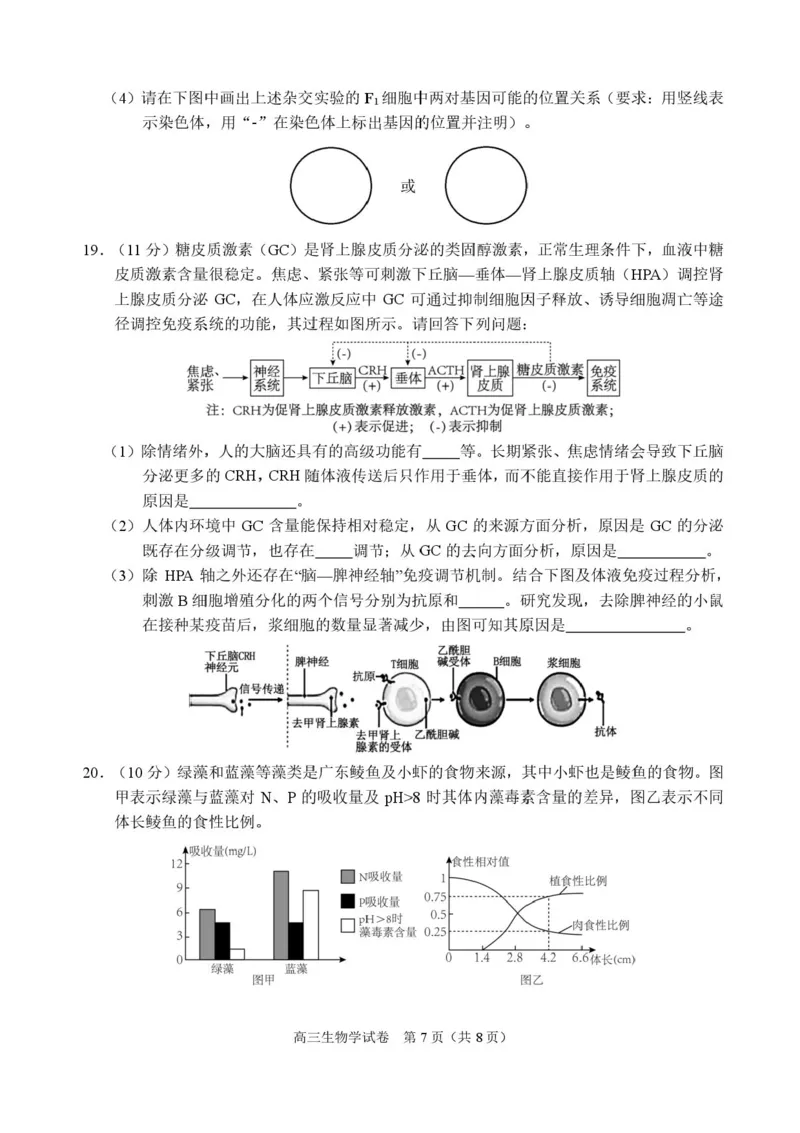 广西示范性高中2026届高三上学期9月联合调研测试生物试卷（含解析）_2025年9月_250928考阅评广西示范性高中2025-2026学年高三上学期9月联合调研测试（全科）