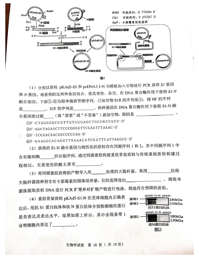 辽宁省大连市2024-2025学年高三上学期期末双基测生物试卷及答案_2025年1月_250116辽宁省大连市2024-2025学年高三1月期末双基测试（全科）
