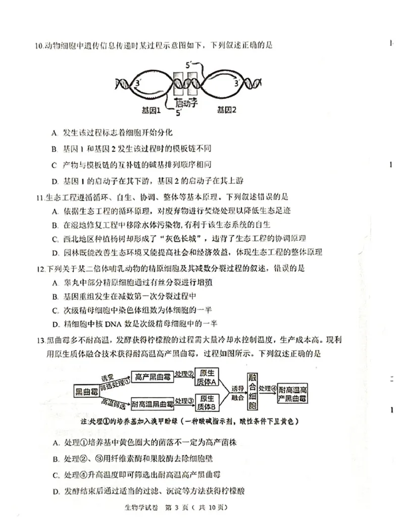 辽宁省大连市2024-2025学年高三上学期期末双基测生物试卷及答案_2025年1月_250116辽宁省大连市2024-2025学年高三1月期末双基测试（全科）