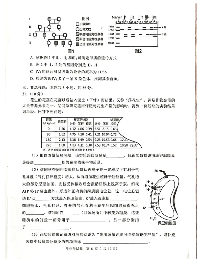辽宁省大连市2024-2025学年高三上学期期末双基测生物试卷及答案_2025年1月_250116辽宁省大连市2024-2025学年高三1月期末双基测试（全科）