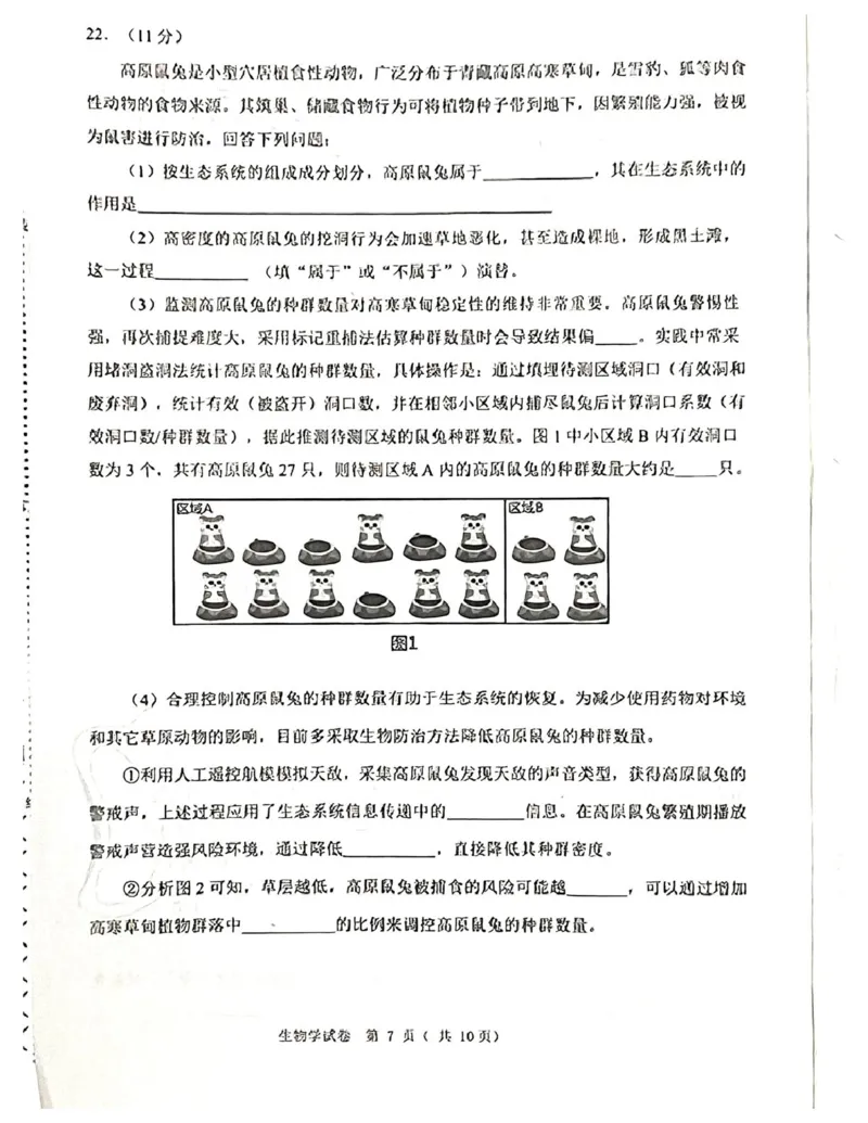 辽宁省大连市2024-2025学年高三上学期期末双基测生物试卷及答案_2025年1月_250116辽宁省大连市2024-2025学年高三1月期末双基测试（全科）