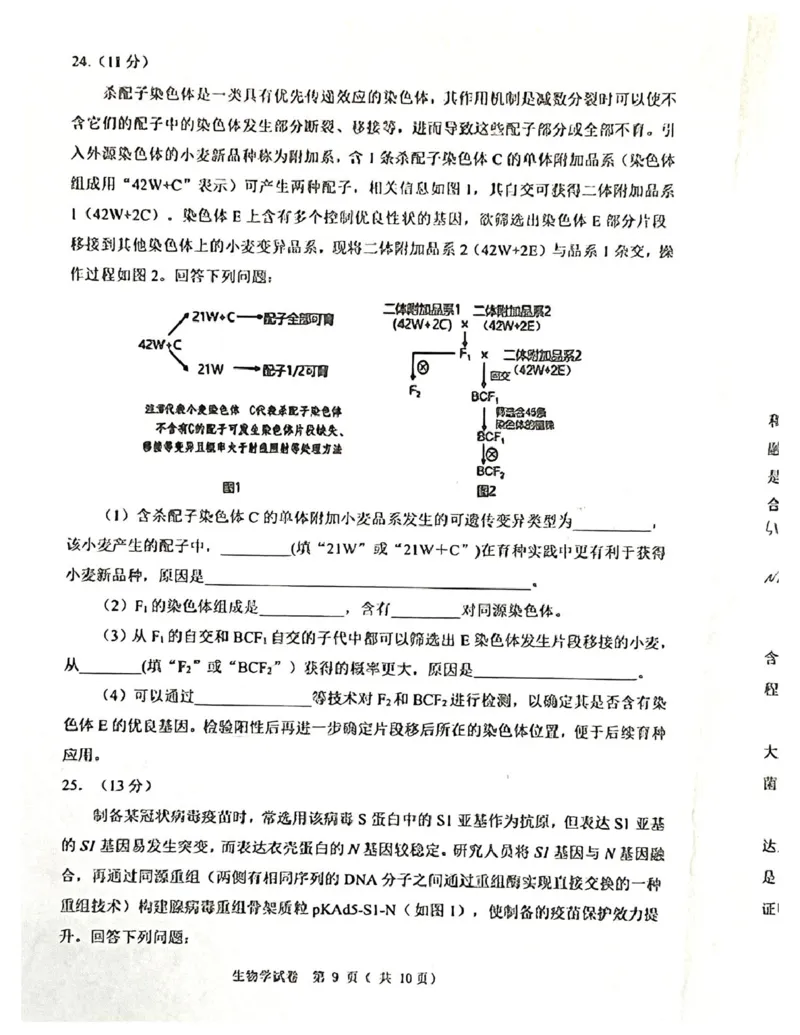 辽宁省大连市2024-2025学年高三上学期期末双基测生物试卷及答案_2025年1月_250116辽宁省大连市2024-2025学年高三1月期末双基测试（全科）