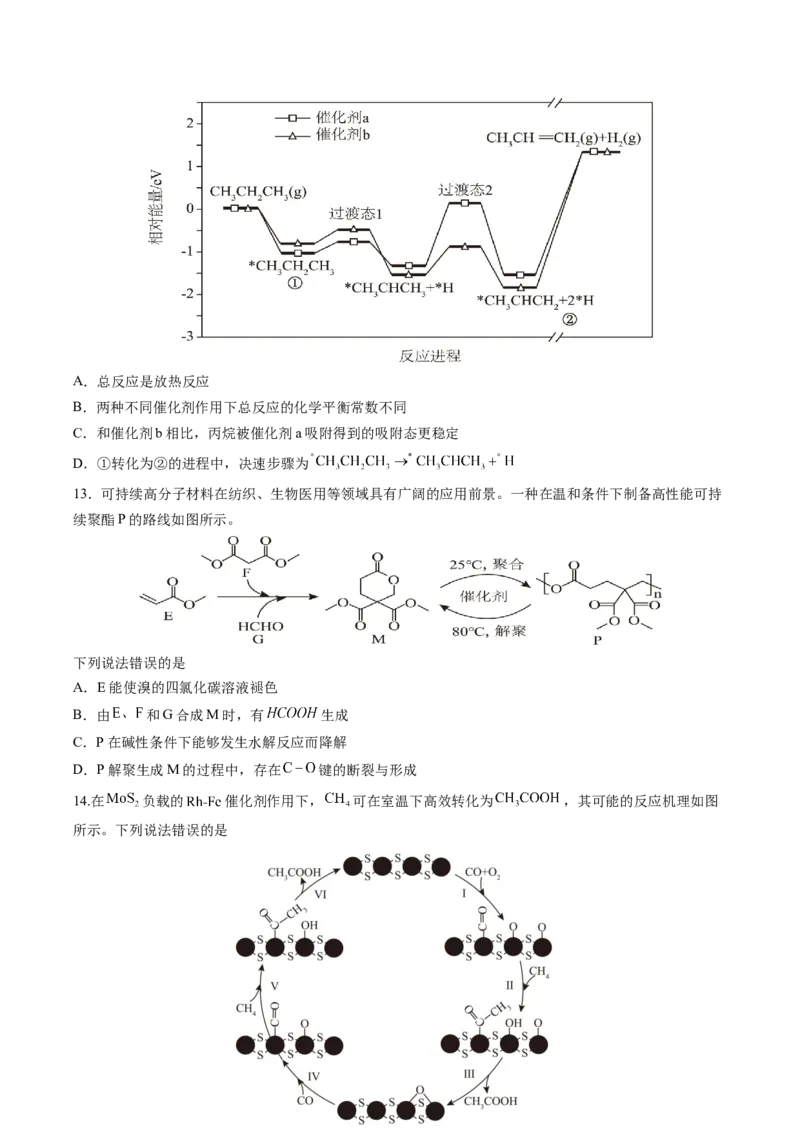 福建省连城县第一中学2025-2026学年高三上学期8月暑假月考化学试卷（含答案）_2025年8月_250819福建省连城县第一中学2026届高三上学期8月暑假月考