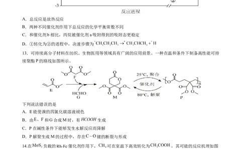 福建省连城县第一中学2025-2026学年高三上学期8月暑假月考化学试卷（含答案）_2025年8月_250819福建省连城县第一中学2026届高三上学期8月暑假月考