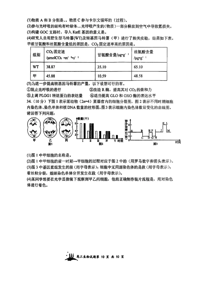 山西省山西大学附属中学校2025-2026学年高三上学期8月月考生物试题_2025年8月_250813山西省山西大学附属中学校2025-2026学年高三上学期8月（总第一次）模块诊断