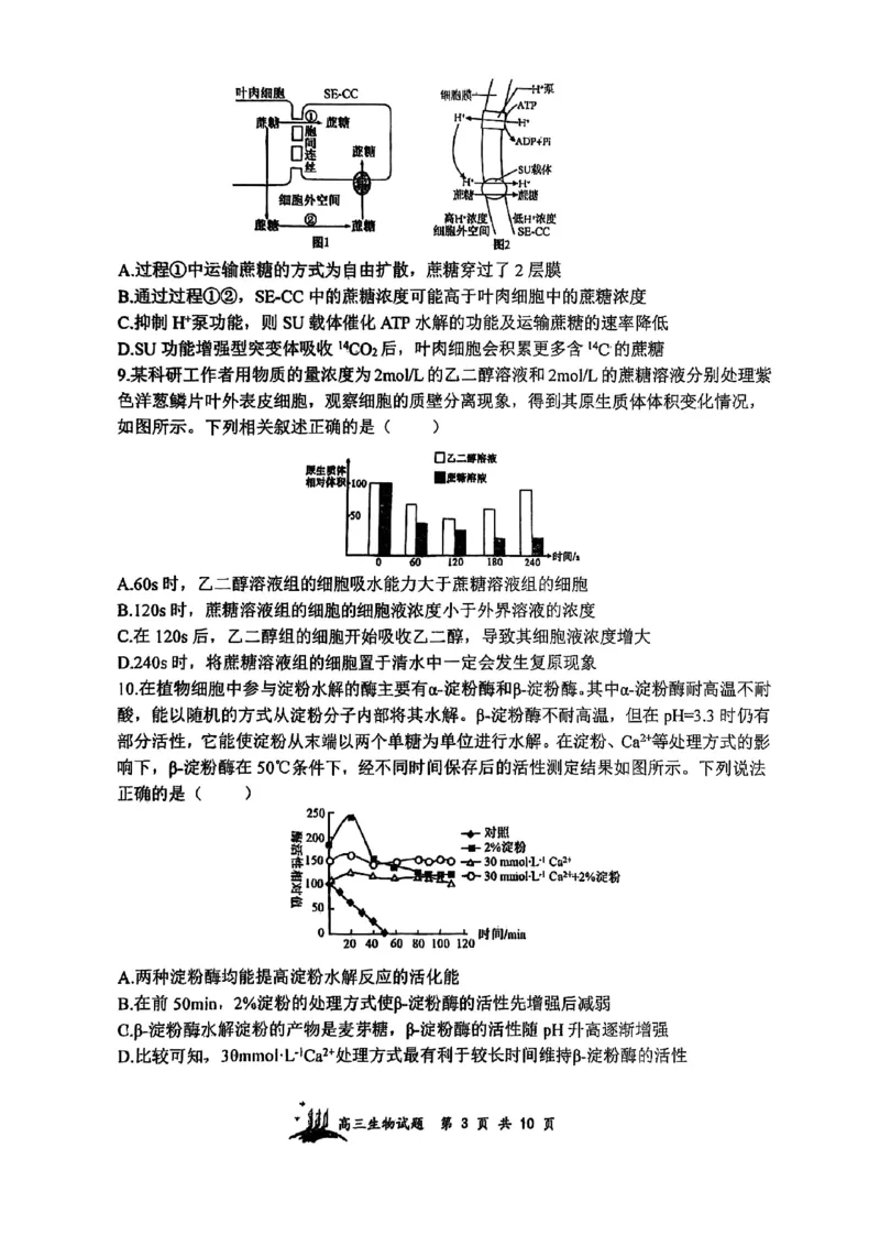 山西省山西大学附属中学校2025-2026学年高三上学期8月月考生物试题_2025年8月_250813山西省山西大学附属中学校2025-2026学年高三上学期8月（总第一次）模块诊断