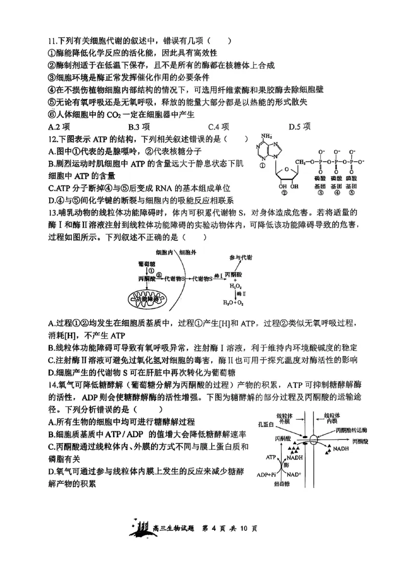 山西省山西大学附属中学校2025-2026学年高三上学期8月月考生物试题_2025年8月_250813山西省山西大学附属中学校2025-2026学年高三上学期8月（总第一次）模块诊断
