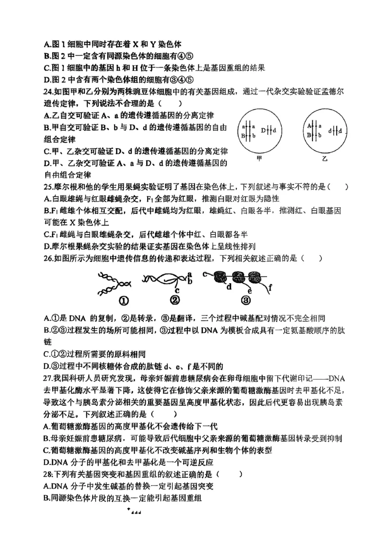 山西省山西大学附属中学校2025-2026学年高三上学期8月月考生物试题_2025年8月_250813山西省山西大学附属中学校2025-2026学年高三上学期8月（总第一次）模块诊断