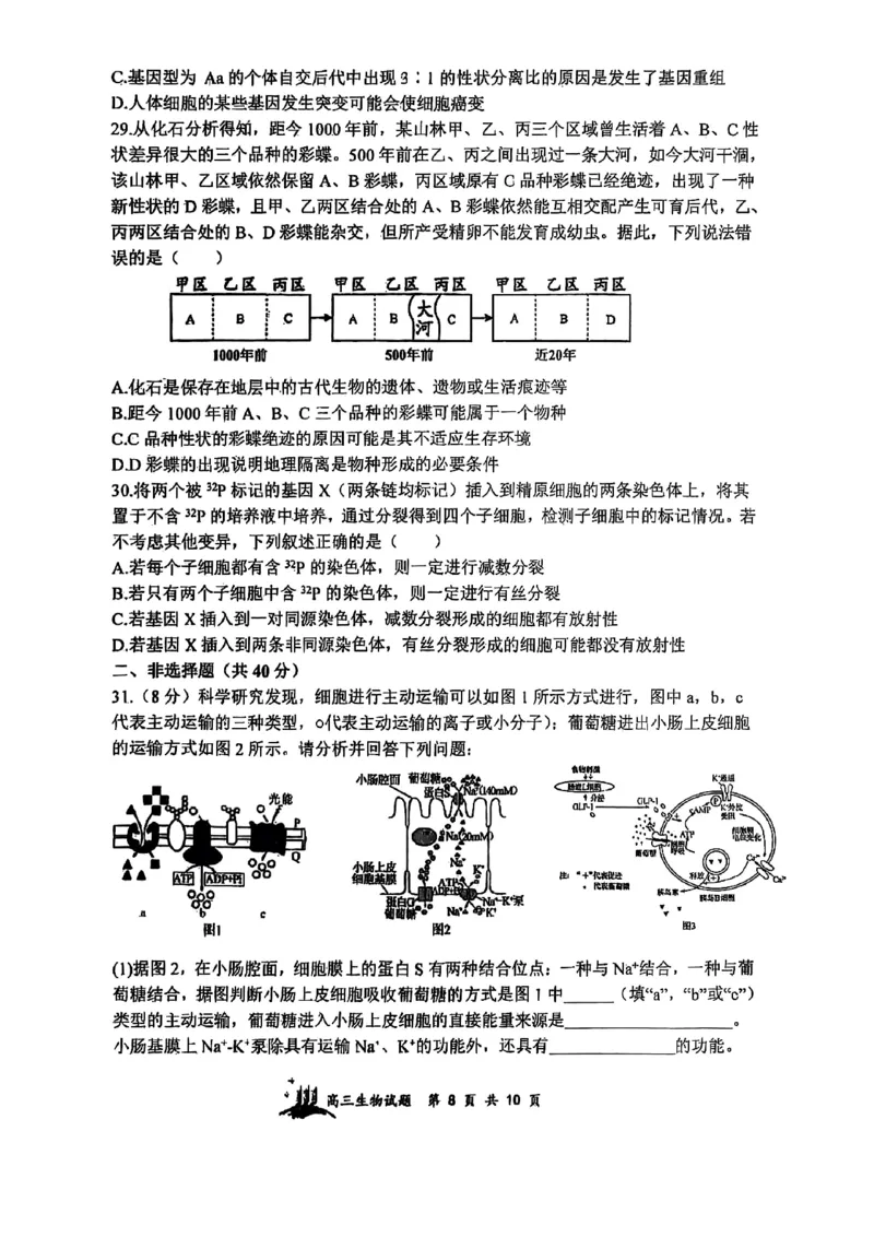 山西省山西大学附属中学校2025-2026学年高三上学期8月月考生物试题_2025年8月_250813山西省山西大学附属中学校2025-2026学年高三上学期8月（总第一次）模块诊断