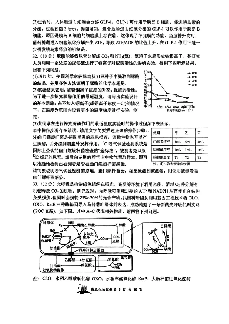 山西省山西大学附属中学校2025-2026学年高三上学期8月月考生物试题_2025年8月_250813山西省山西大学附属中学校2025-2026学年高三上学期8月（总第一次）模块诊断