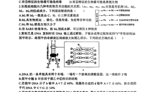 山西省山西大学附属中学校2025-2026学年高三上学期8月月考生物试题_2025年8月_250813山西省山西大学附属中学校2025-2026学年高三上学期8月（总第一次）模块诊断