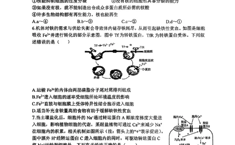 山西省山西大学附属中学校2025-2026学年高三上学期8月月考生物试题_2025年8月_250813山西省山西大学附属中学校2025-2026学年高三上学期8月（总第一次）模块诊断
