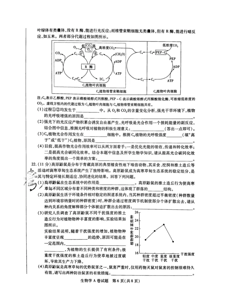 2024天星押题密卷《生物A卷》_2024高考押题卷_12024天星全系列_黑龙江版_生物