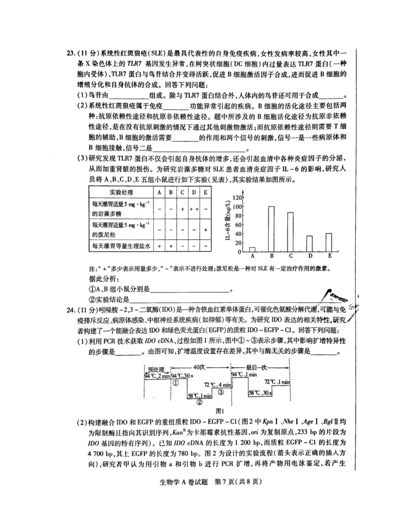 2024天星押题密卷《生物A卷》_2024高考押题卷_12024天星全系列_黑龙江版_生物
