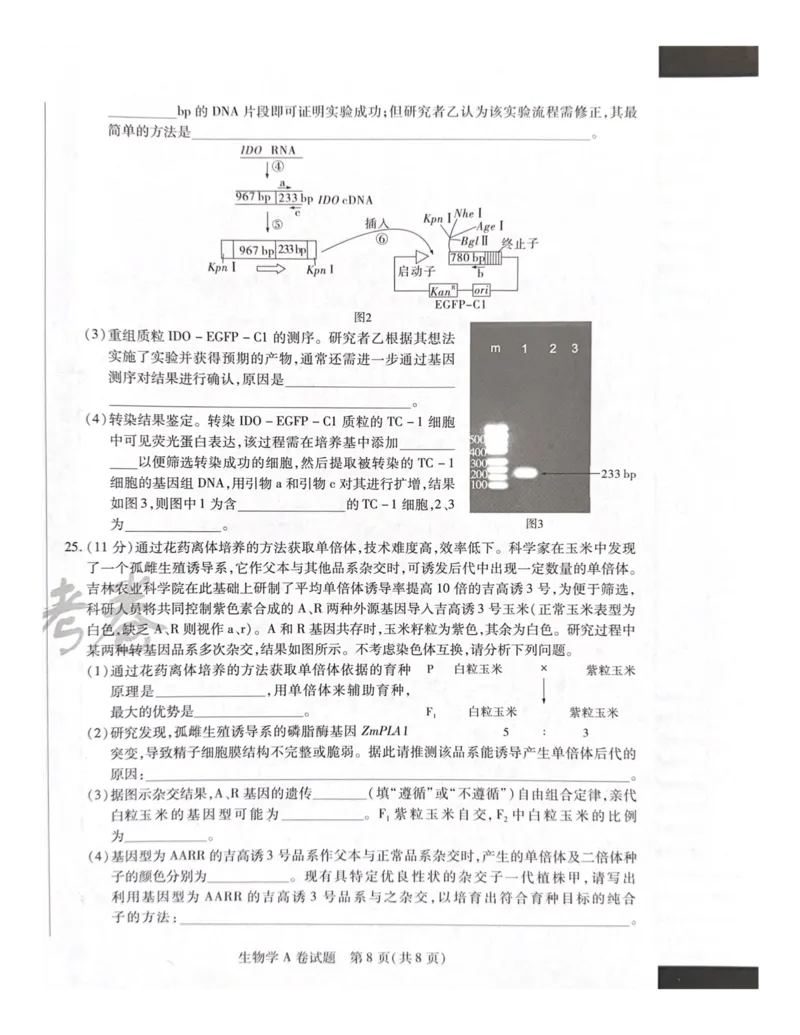 2024天星押题密卷《生物A卷》_2024高考押题卷_12024天星全系列_黑龙江版_生物