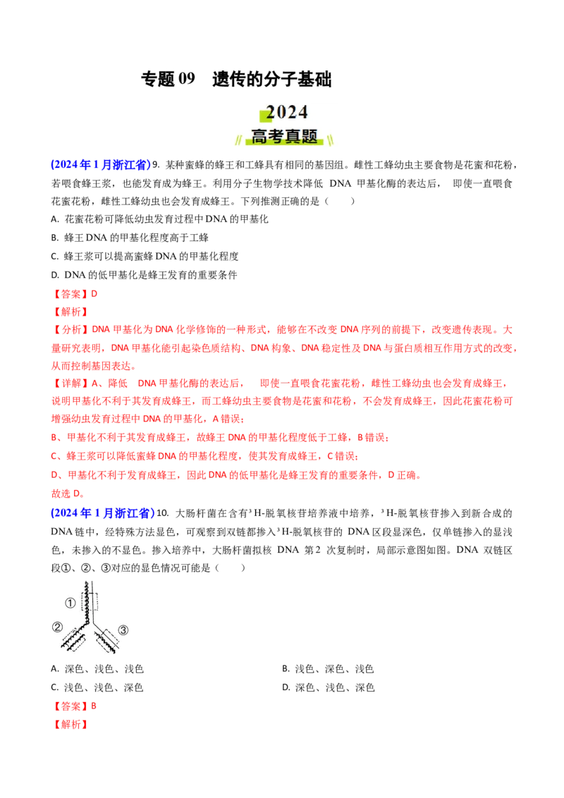 专题09遗传的分子基础-2024年高考真题和模拟题生物分类汇编（教师卷）_近10年高考真题汇编（必刷）_十年（2014-2024）高考生物真题分项汇编（全国通用）