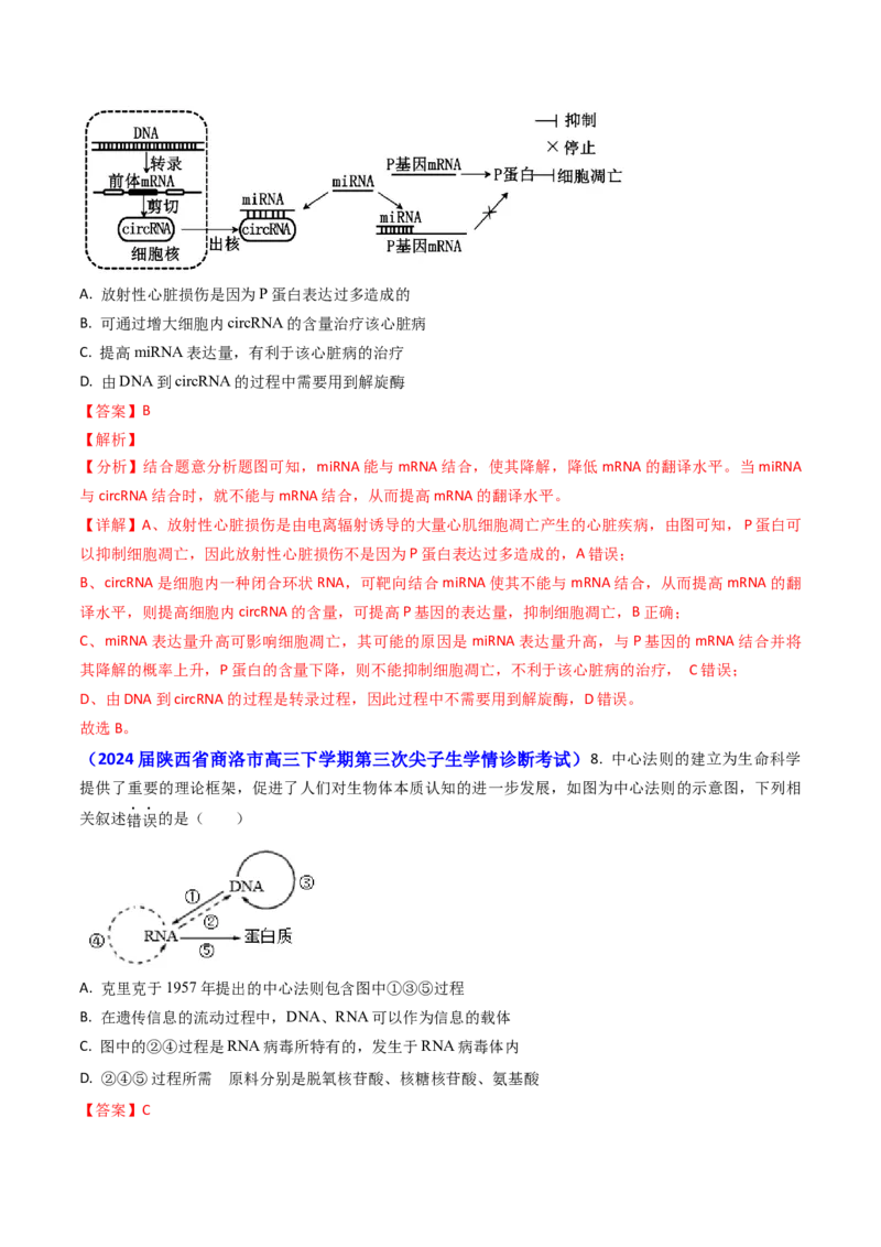 专题09遗传的分子基础-2024年高考真题和模拟题生物分类汇编（教师卷）_近10年高考真题汇编（必刷）_十年（2014-2024）高考生物真题分项汇编（全国通用）