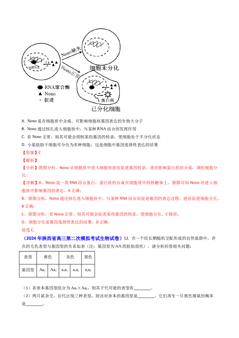 专题09遗传的分子基础-2024年高考真题和模拟题生物分类汇编（教师卷）_近10年高考真题汇编（必刷）_十年（2014-2024）高考生物真题分项汇编（全国通用）