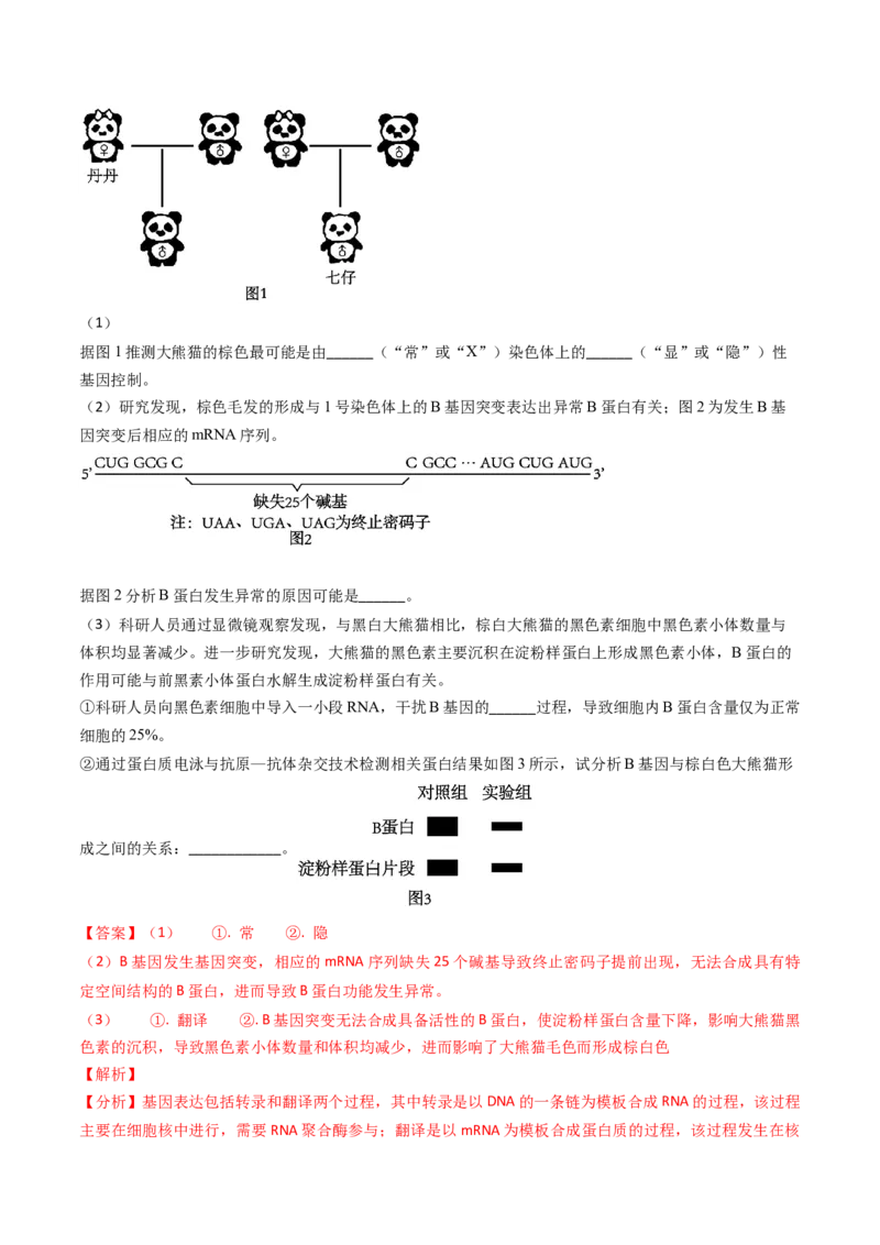 专题09遗传的分子基础-2024年高考真题和模拟题生物分类汇编（教师卷）_近10年高考真题汇编（必刷）_十年（2014-2024）高考生物真题分项汇编（全国通用）