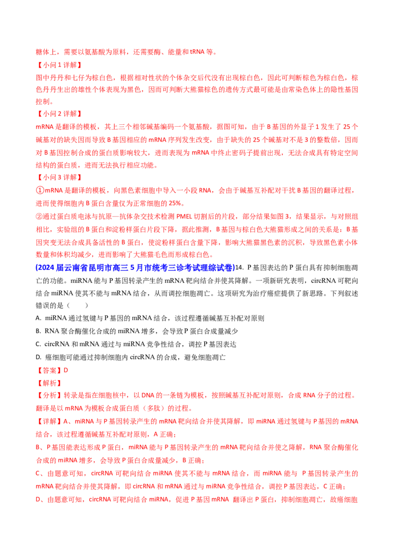 专题09遗传的分子基础-2024年高考真题和模拟题生物分类汇编（教师卷）_近10年高考真题汇编（必刷）_十年（2014-2024）高考生物真题分项汇编（全国通用）