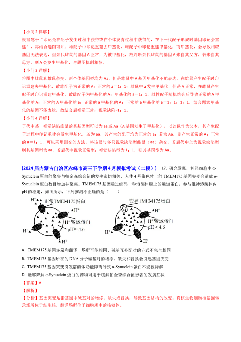 专题09遗传的分子基础-2024年高考真题和模拟题生物分类汇编（教师卷）_近10年高考真题汇编（必刷）_十年（2014-2024）高考生物真题分项汇编（全国通用）