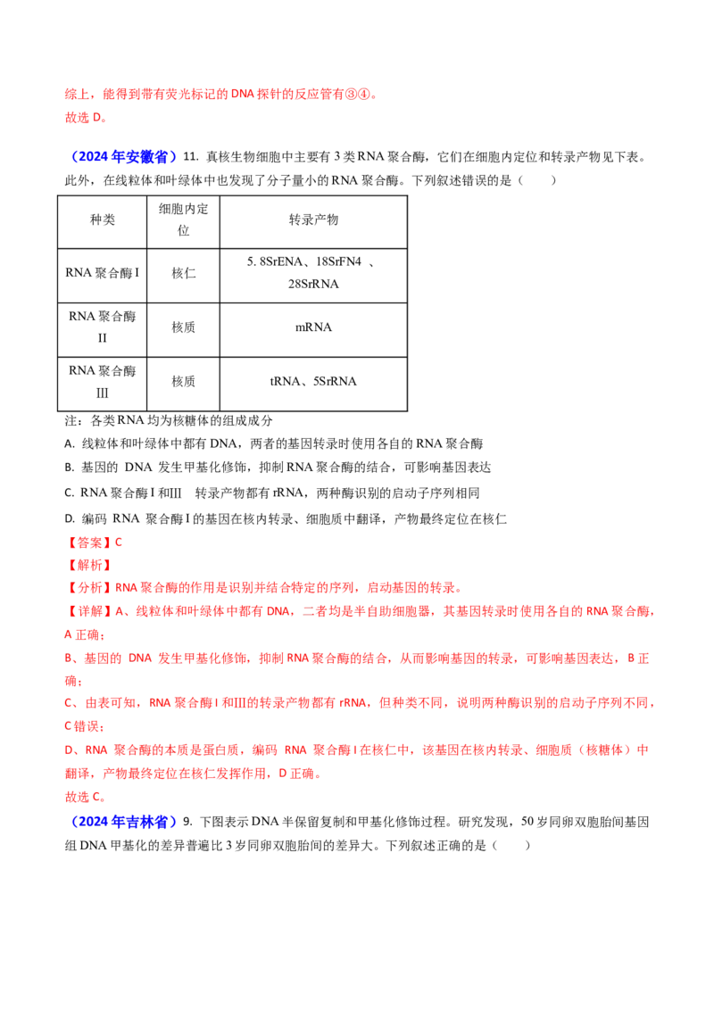 专题09遗传的分子基础-2024年高考真题和模拟题生物分类汇编（教师卷）_近10年高考真题汇编（必刷）_十年（2014-2024）高考生物真题分项汇编（全国通用）