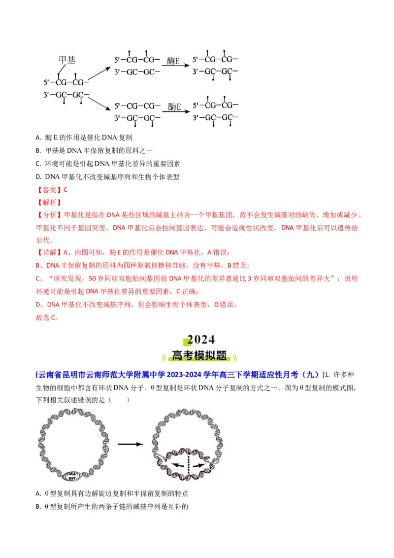 专题09遗传的分子基础-2024年高考真题和模拟题生物分类汇编（教师卷）_近10年高考真题汇编（必刷）_十年（2014-2024）高考生物真题分项汇编（全国通用）