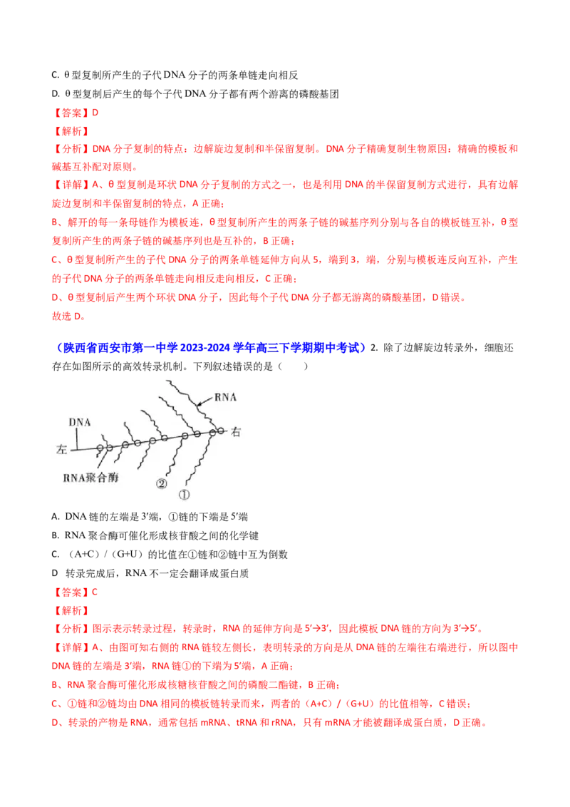 专题09遗传的分子基础-2024年高考真题和模拟题生物分类汇编（教师卷）_近10年高考真题汇编（必刷）_十年（2014-2024）高考生物真题分项汇编（全国通用）