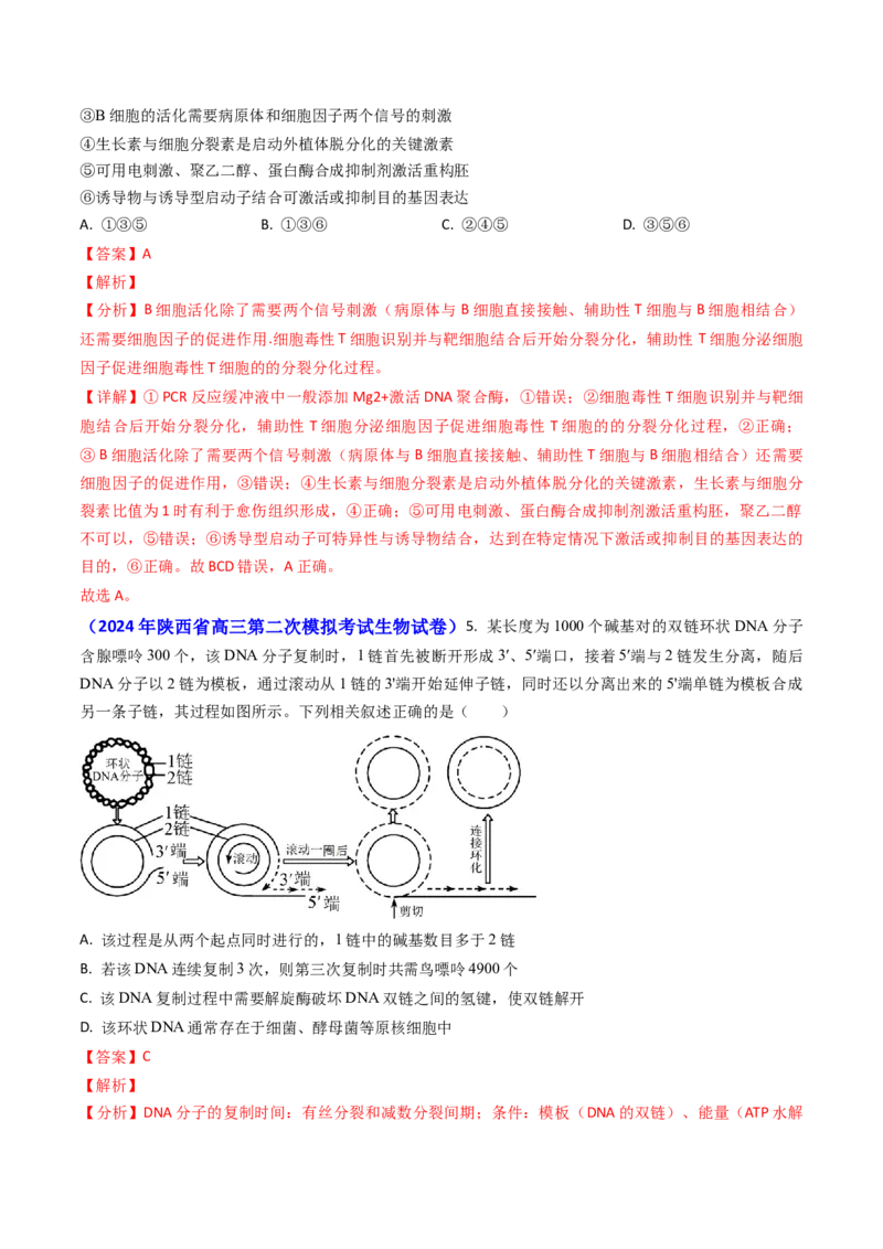 专题09遗传的分子基础-2024年高考真题和模拟题生物分类汇编（教师卷）_近10年高考真题汇编（必刷）_十年（2014-2024）高考生物真题分项汇编（全国通用）