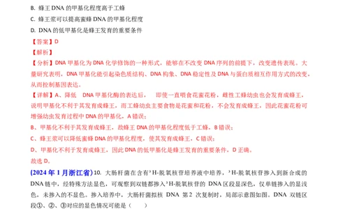 专题09遗传的分子基础-2024年高考真题和模拟题生物分类汇编（教师卷）_近10年高考真题汇编（必刷）_十年（2014-2024）高考生物真题分项汇编（全国通用）