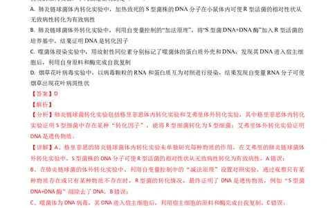 专题09遗传的分子基础-2024年高考真题和模拟题生物分类汇编（教师卷）_近10年高考真题汇编（必刷）_十年（2014-2024）高考生物真题分项汇编（全国通用）