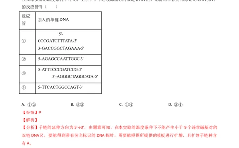 专题09遗传的分子基础-2024年高考真题和模拟题生物分类汇编（教师卷）_近10年高考真题汇编（必刷）_十年（2014-2024）高考生物真题分项汇编（全国通用）