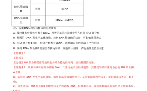 专题09遗传的分子基础-2024年高考真题和模拟题生物分类汇编（教师卷）_近10年高考真题汇编（必刷）_十年（2014-2024）高考生物真题分项汇编（全国通用）