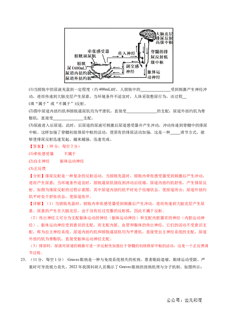 高二生物期中模拟卷02（全解全析）（新高考通用）(1)_1多考区联考_1014高二期中模拟卷（新高考通用）黄金卷：2024-2025学年高二上学期期中模拟考试